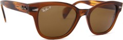 Ray-Ban RB0880S 664057 52