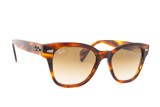 Ray-Ban RB0880S 954/51 52 22022