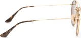Ray-Ban RB3647N 001/57 51 3476