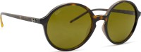 Ray-Ban RB4304 710/73 53
