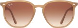 Ray-Ban RB4306 616613 54 4868