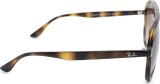 Ray-Ban RB4376 710/13 57 18812