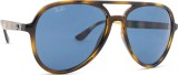 Ray-Ban RB4376 710/80 57 26189