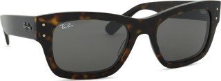 Ray-Ban RB7683S 902/B1 55