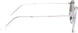 Ray-Ban Round Metal RB3447 019/30 6621