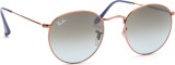 Ray-Ban Round Metal RB3447 900396 6254