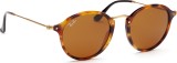 Ray-Ban Round RB2447 1160 49 4873