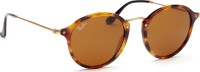 Ray-Ban Round RB2447 1160 49