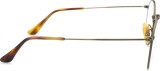 Ray-Ban Round Titanium 0RX8247V 1222 50 13802