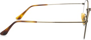 Ray-Ban Round Titanium 0RX8247V 1222 50 13802