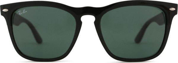 Ray-Ban Steve RB4487 662971 54