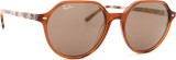 Ray-Ban Thalia RB2195 663693 53 22811