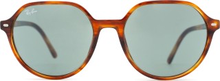 Ray-Ban Thalia RB2195 954/62 55 21442