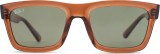 Ray-Ban Warren RB4396 66789A 57 24619