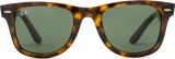 Ray-Ban Wayfarer RB4340 710 50 17423