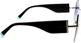 Tiffany&Co. TF3069 61459S 59 7610