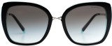 Tiffany&Co. TF4160 82853C 54 7631