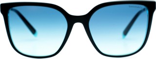Tiffany&Co. TF4165 82749S 54 7799